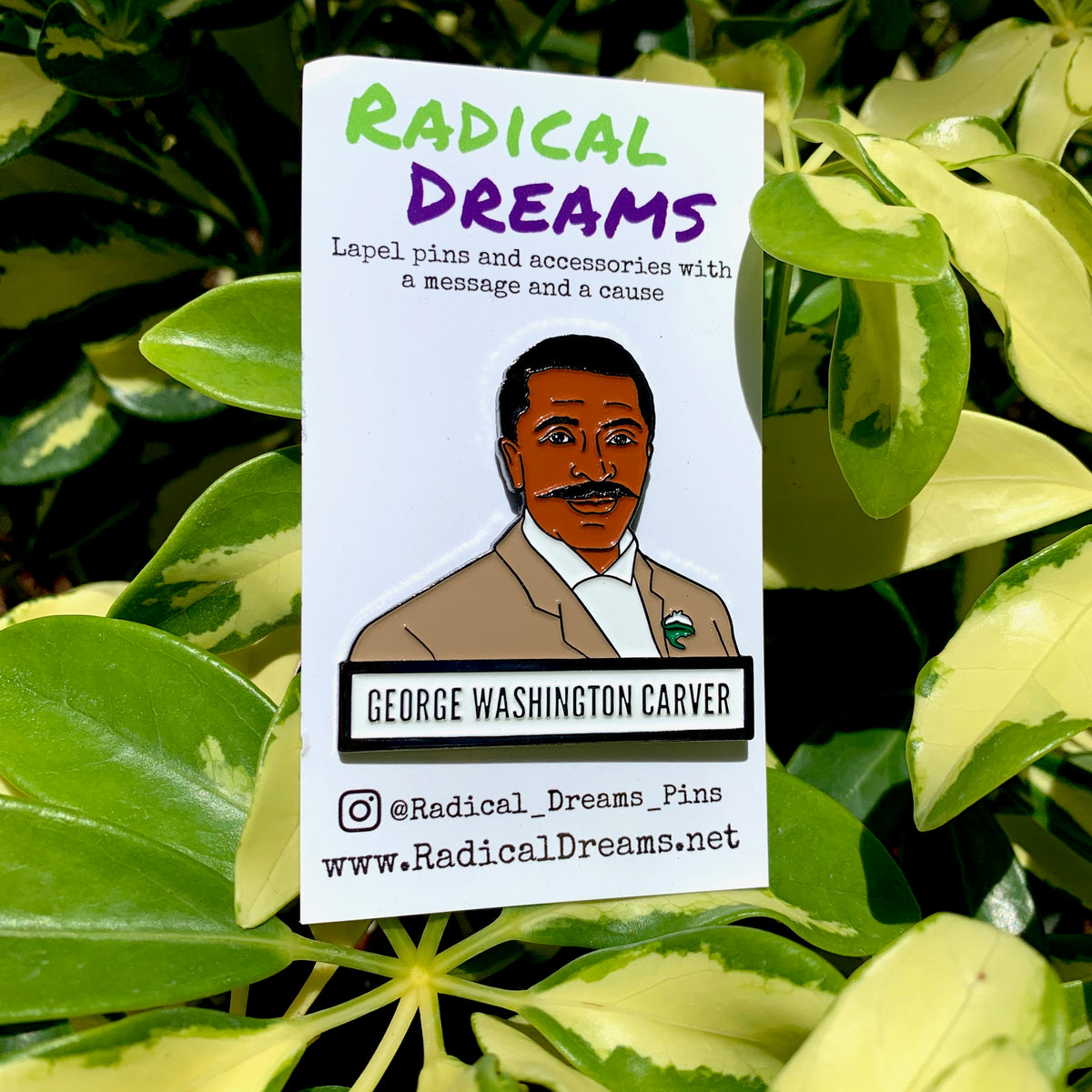 Locking Pin Backs (2) – Radical Dreams Pins